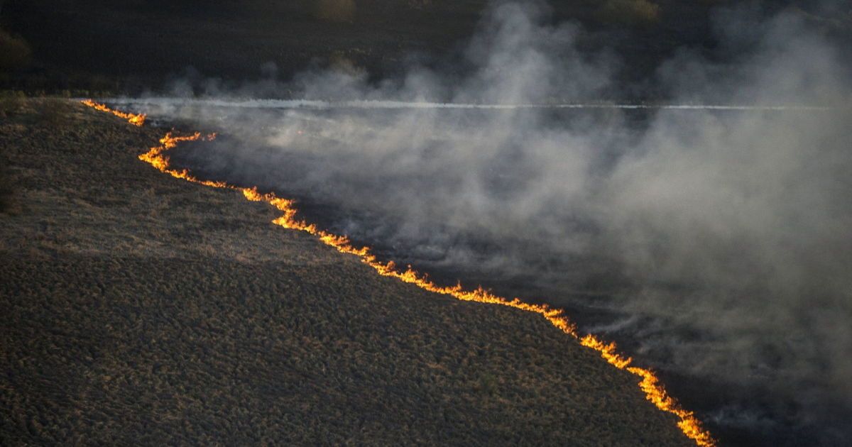 "600 при норме в 20": пожарным возле ЧАЭС посоветовали поскорей выбрасывать свою обувь после выхода из леса