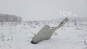 В РФ назвали новую версию крушения самолета под Москвой