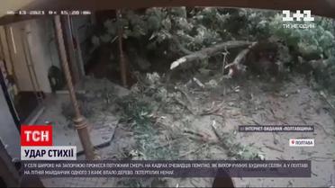 Погода в Украине: 60 населенных пунктов остались без электричества из-за непогоды