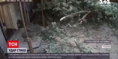 Погода в Украине: 60 населенных пунктов остались без электричества из-за непогоды