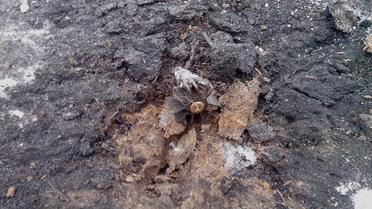 Боевики из минометов обстреляли жилые кварталы Зайцево / © Facebook/пресс-центр штаба АТО