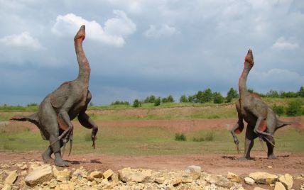 Четырехлетняя девочка нашла след динозавра возрастом 220 миллионов лет