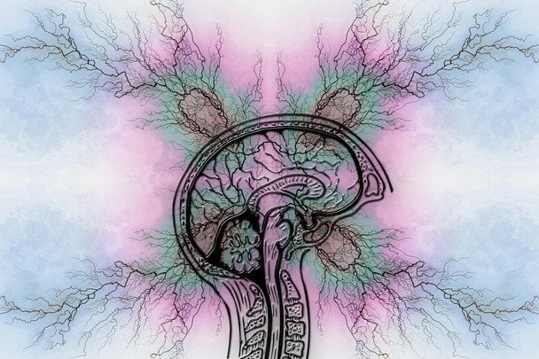 9 лютого Міжнародний день боротьби з епілепсією / © Pixabay