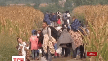 Пів мільярда євро виділить Європейський Союз на допомогу біженцям із Сирії та Іраку