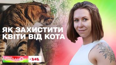 Як захистити рослини від домашніх тварин: прості поради від Олени Самойлюк