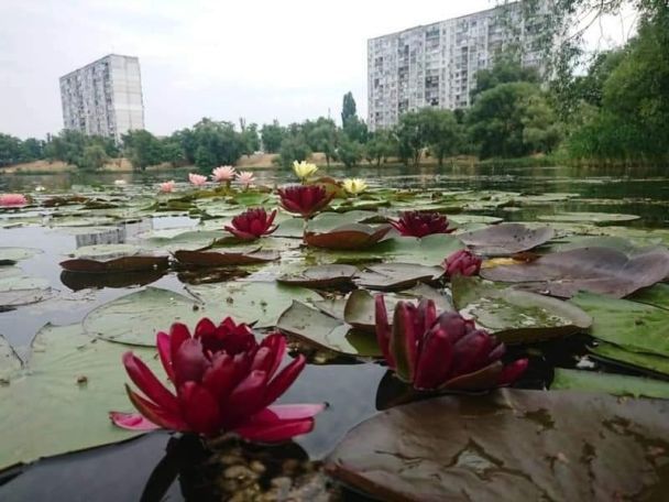 Фото: "Киев — мой любимый город"/Facebook