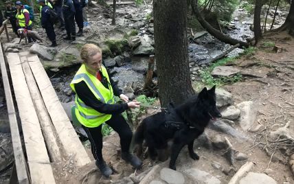 На Говерлі загубився маленький хлопчик: прикмети дитини