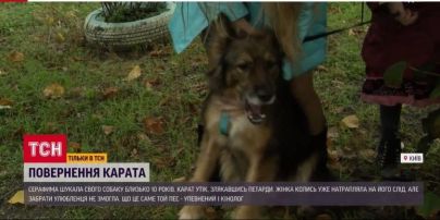 Счастливая находка: в Киеве пес вернулся в семью после 11 лет исчезновение