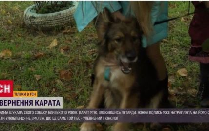 Щаслива знахідка: в Києві пес повернувся до родини після 11 років зникнення