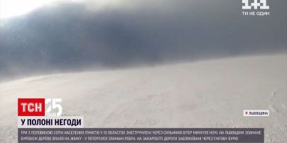 Погода в Україні: по всіх регіонах оголошено штормове попередження через шквальний вітер