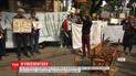 Хватит сидеть: у АП киношники и художники крушили стулья