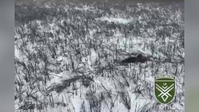 Оператори БпЛА врятували пораненого бійця, який перебував біля позицій ворога