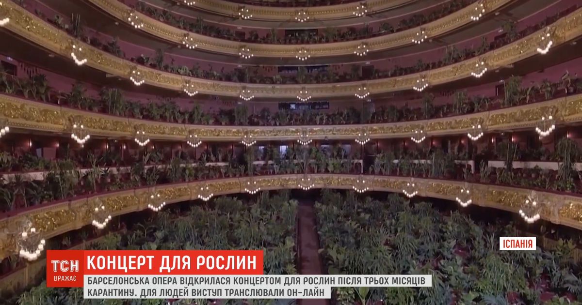 Концерт для растений: барселонская опера открылась после трех месяцев карантина