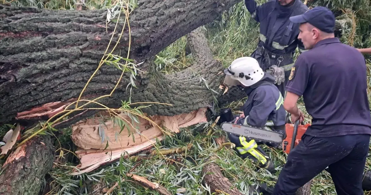 Через негоду дерево впало на намет підлітків