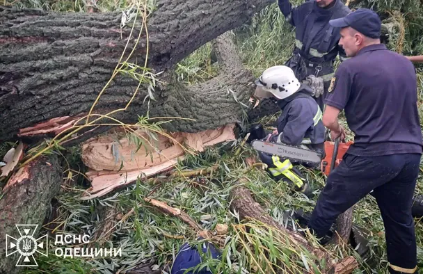 В Одесской области дерево упало на палатку с детьми — есть погибшие (фото)
