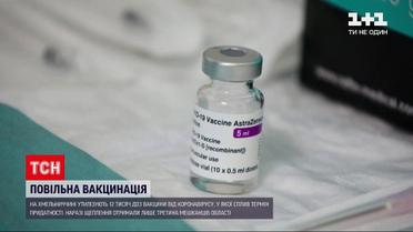 В Хмельницкой области просрочилось 12 тысяч доз вакцины | Новости Украины