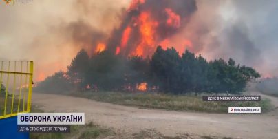 Россияне снизили интенсивность обстрелов, но подожгли леса вокруг Николаева