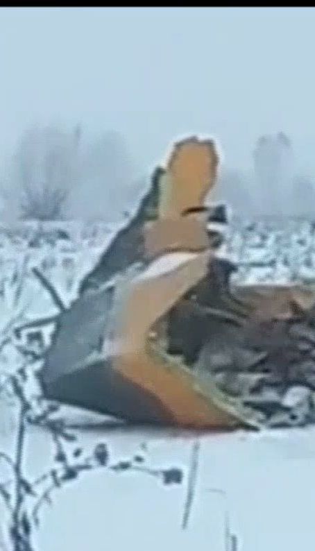 В России разбился пассажирский самолет, погиб 71 человек