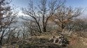 Гороскоп на 20 лютого для всіх знаків зодіаку: день, коли на перший план виходить творчість