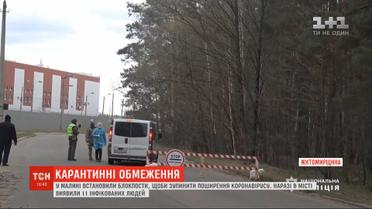 Коронавирус в Малине: на въездах в город установили блокпосты