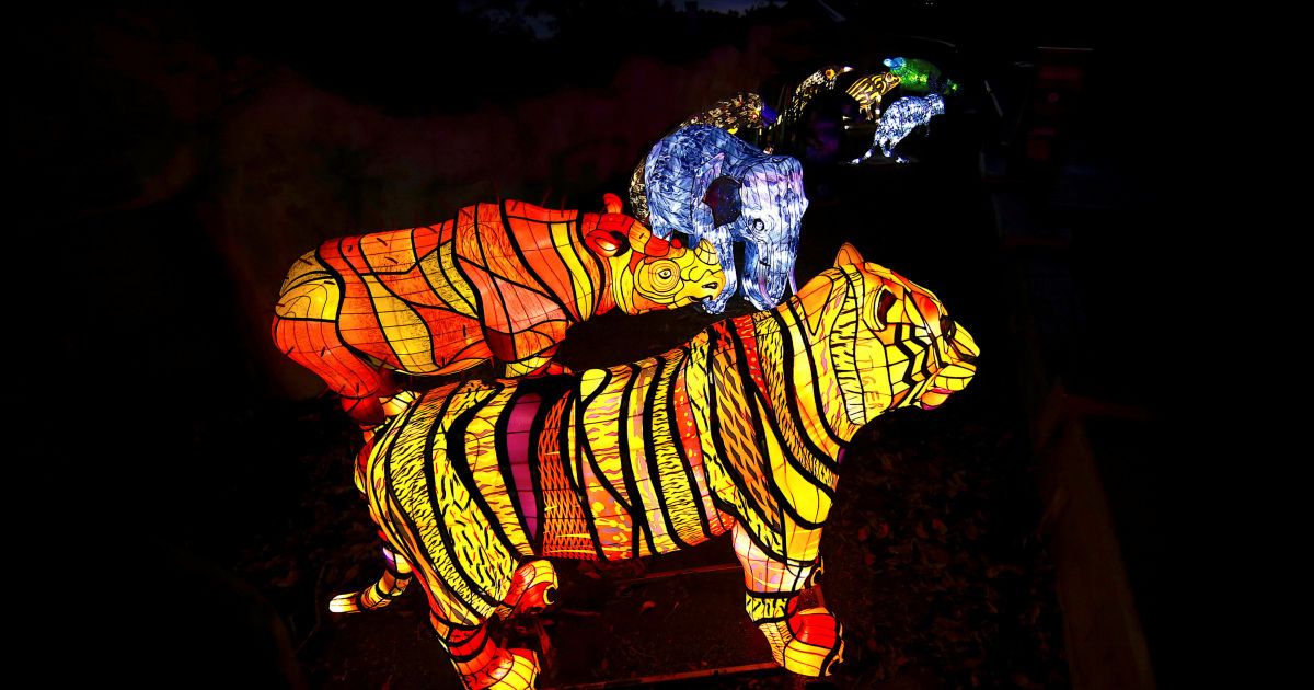 фестиваль світла Австралія_1 / © Reuters