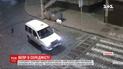 В Черновцах полиция и спасатели ловили кабана, который разгуливал по центру города