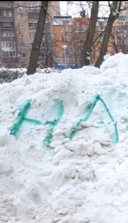 Жительница Москвы написала краской на снегу "Навальный", чтобы коммунальщики наконец-то убрали сугробы
