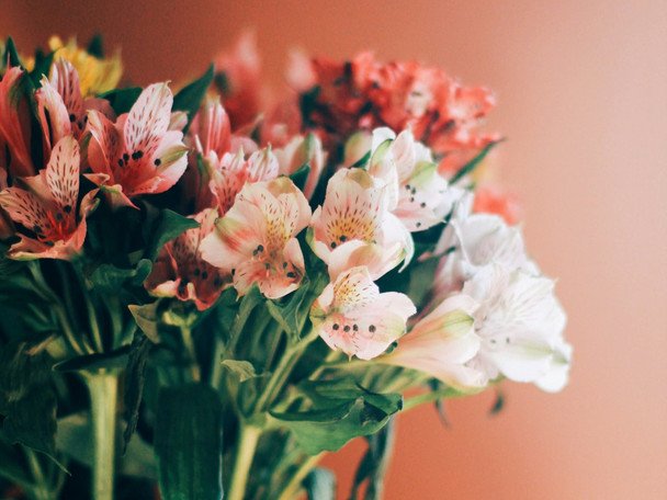 День ангела 19 березня — душевні привітання в прозі / © unsplash.com