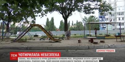 В Кривом Роге собака, которая покусала девочку, до сих пор бегает во дворе