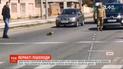 В Харькове утка с утятами остановили движение транспорта на оживленном шоссе