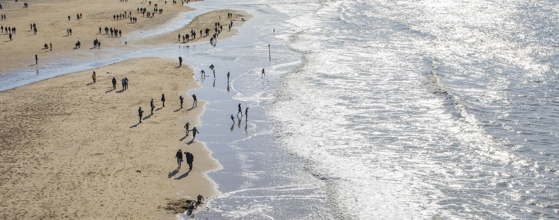 На пляжі в Нідерландах знайшли велику партію кокаїну