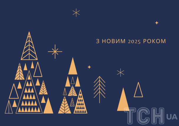 С Новым 2025 годом / © ТСН.ua