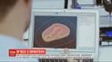 Со следующего года в европейских ресторанах появится напечатанное на 3D-принтере мясо