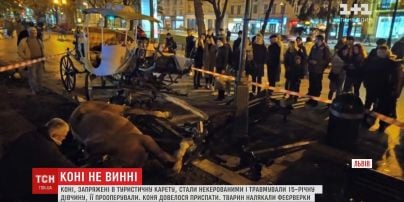 Лікарі прооперували дівчину, яку у Львові травмували перелякані коні