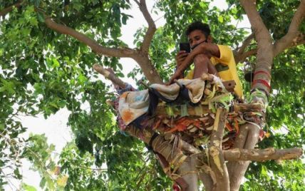 Індійський студент з COVID-19 самоізолювався на дереві, щоб не наражати на небезпеку свою сім'ю (фото)