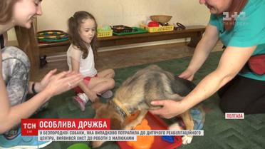 Собака без задніх ніг проявила талант роботи з дітьми реабілітаційного центру