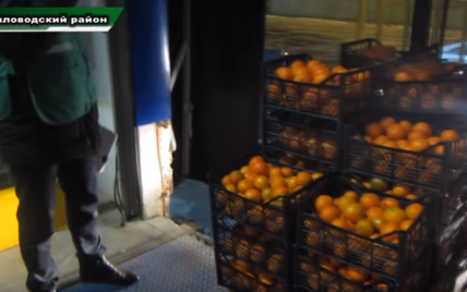В России трактором раздавили турецкие мандарины