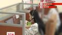 Украинский рынок труда жив: каких специалистов ищут отечественные работодатели