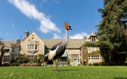 Легендарный дом Playboy Mansion выставят на продажу