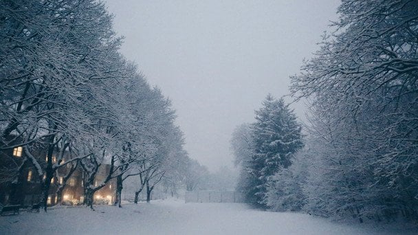 Народні прикмети 22 грудня / © unsplash.com