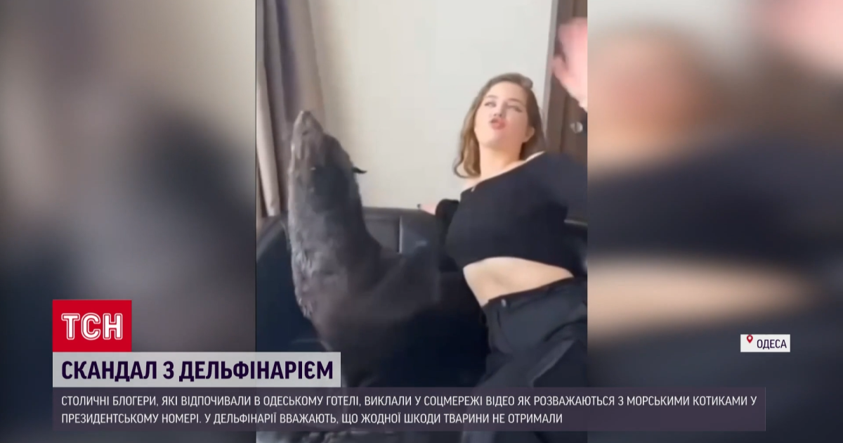 Скандал в дельфинарии в Одессе: что говорят зоозащитники и как оправдываются владельцы животных