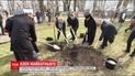 В Украине началась новая волна акции "Посади дерево мира"