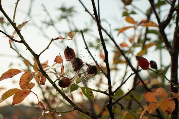 Народные приметы 26 ноября / © unsplash.com