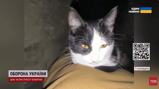 QR-код для збору / © ТСН