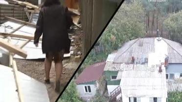 Обычная учительница против коррупционной машины: кто пытается лишить земли Нину Москаленко