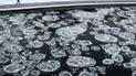 Последние теплые дни перед новыми морозами: синоптики озвучили прогноз на неделю