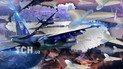 Украинские эксперты не исключают того, что Россия может увеличить количество выпущенных по Украине дронов.