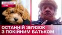 Своєрідний зв'язок з покійним батьком: історія собаки мальтіпу на прізвисько Ред – Щоденники війни