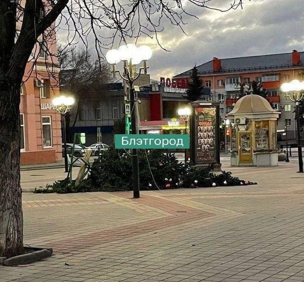 Ялинка, яка впала у Белгородській області. Фото: соцмережі. 
