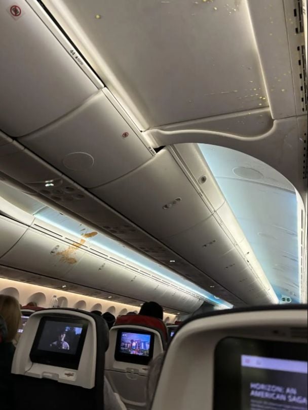 Наслідки турбулентності / Фото: Reddit/HefetzHashud